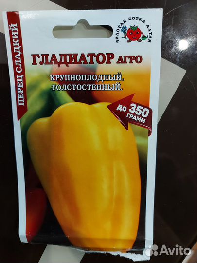 Рассада перца