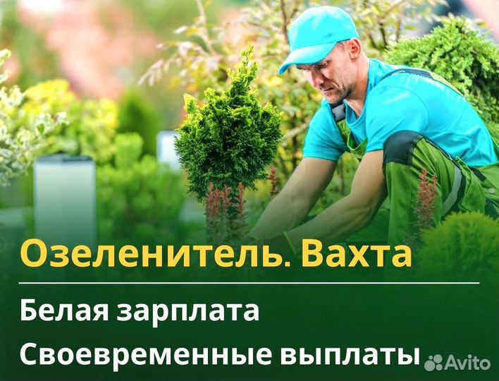 Озеленитель вахта с жильем и питанием