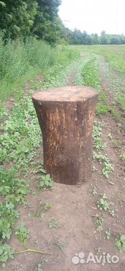 Колода из дуба