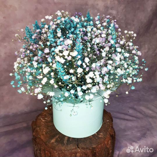 Цветы гипсофилы