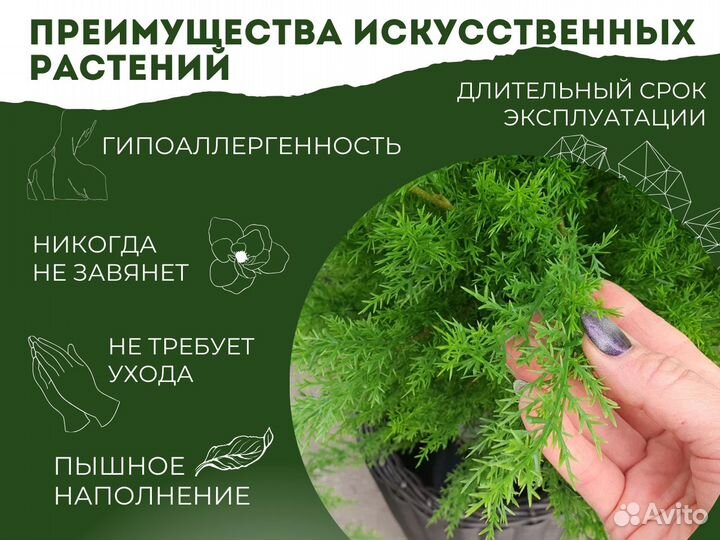 Туя Доминикана / Искусственное озеленение