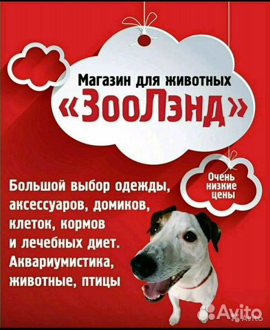 Требуется продавец в магазин зоотоваров