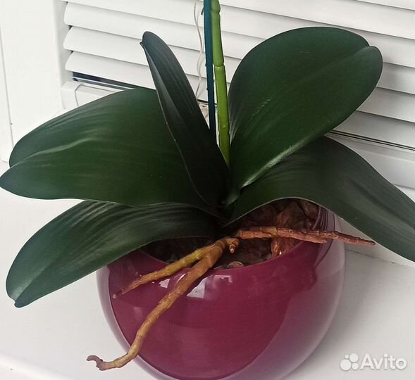 Орхидея искусственная