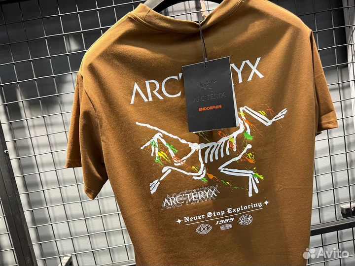 Футболка мужская arcteryx (Арт.63659)