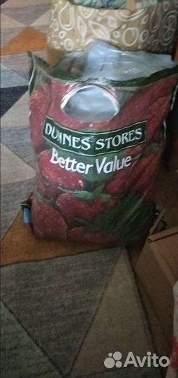 Полицейская форма нового образца 50-4