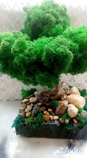 Дерево жизни