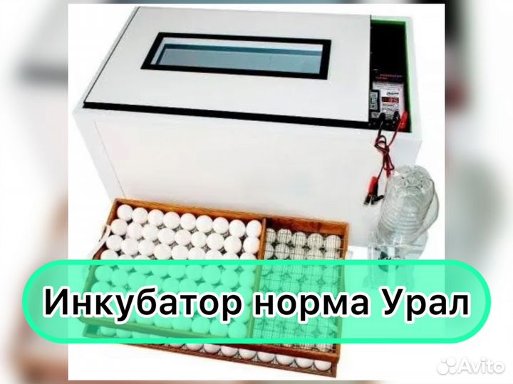 Инкубатор для яиц автоматический норма урал
