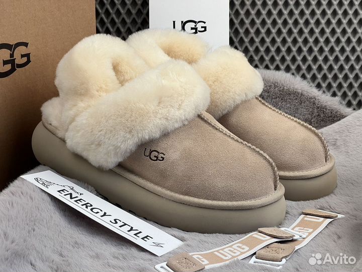 Тапки женские угги Ugg Slippers Disquette