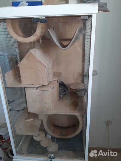 Продам шиншиллу с клеткой
