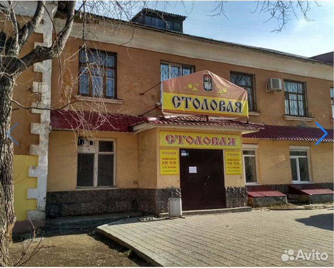 Столовая 250 кв.м в районе метро Площадь Ленина