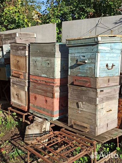Ульи пчелинные