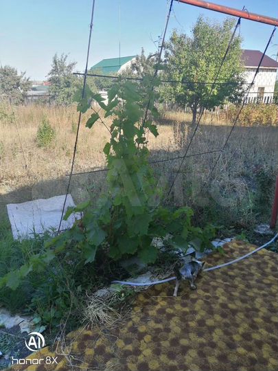 Участок 7 сот. (ИЖС)