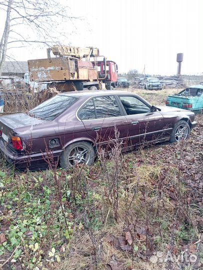 BMW 525 дизель