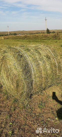 Продам сено в рулонах люцерно 2 укос