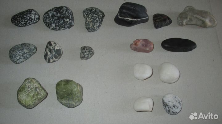 Морские ракушки и камни