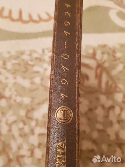 Гражданская война 1919-21, том 1