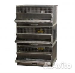 Клетки для перепелов в ассортименте