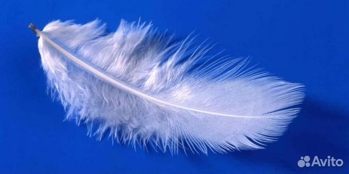 Подушки перины