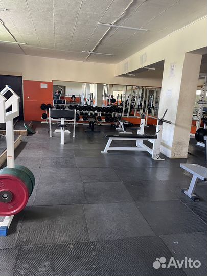 Профессиональные силовые тренажеры бу