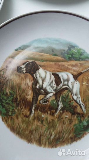 Тарелка настенная Вербилки