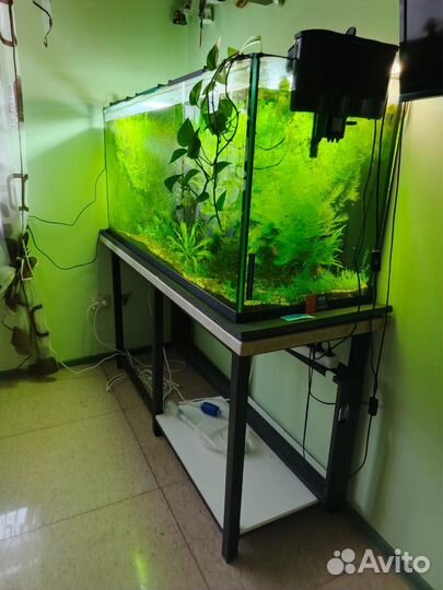 Аквариум с рыбками