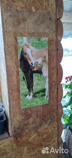 Картина с лошадьми