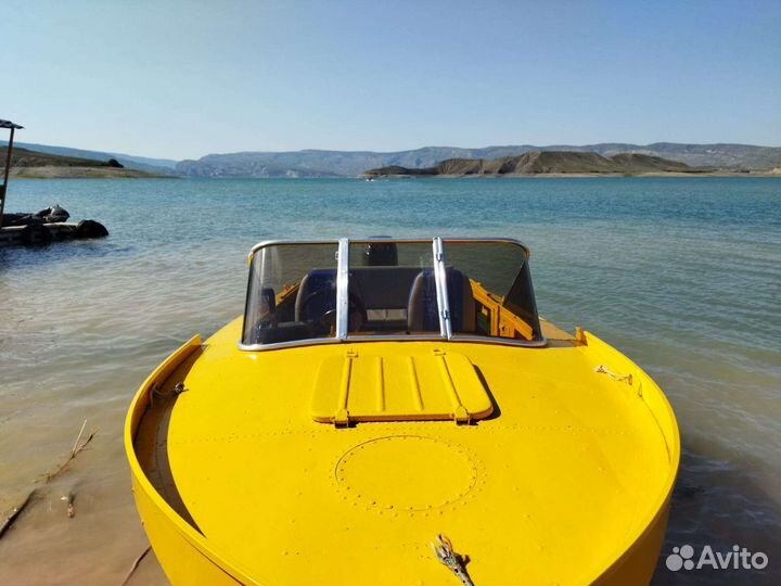 Стекло с калиткой на лодку Прогресс