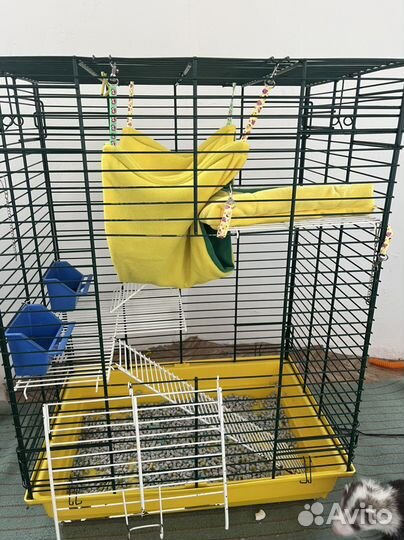 Продам хорька