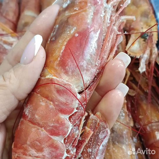 Лангустины креветки