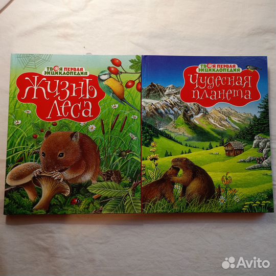 Серия «Твоя первая энциклопедия»