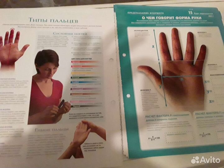 Курс хиромантии. Гадание по руке