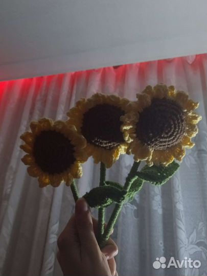 Подсолнух карликовый вязанный