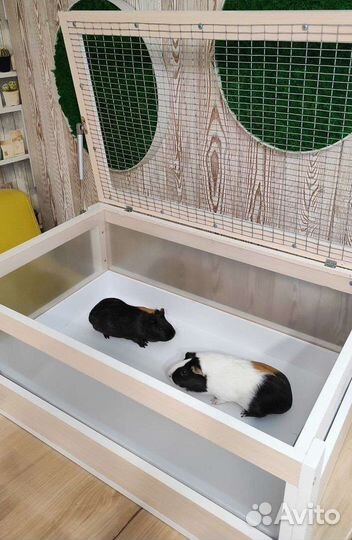 Вольер Клетка