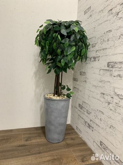 Фикус дерево (искусственное)