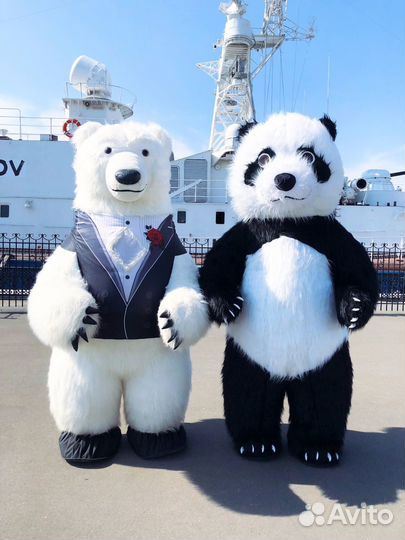 Белый Мишка/ Мишка на поздравление