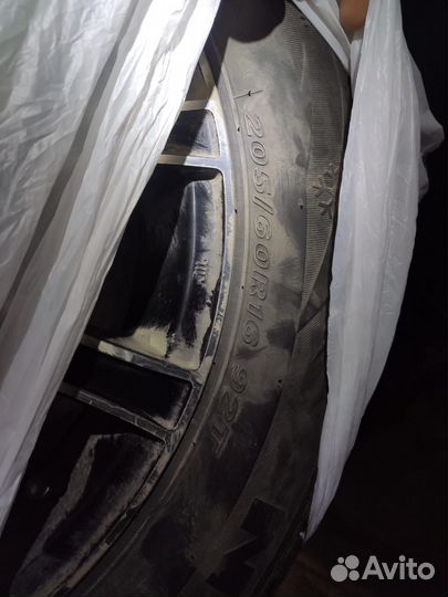 Nexen Winguard WinSpike 205/60 R16