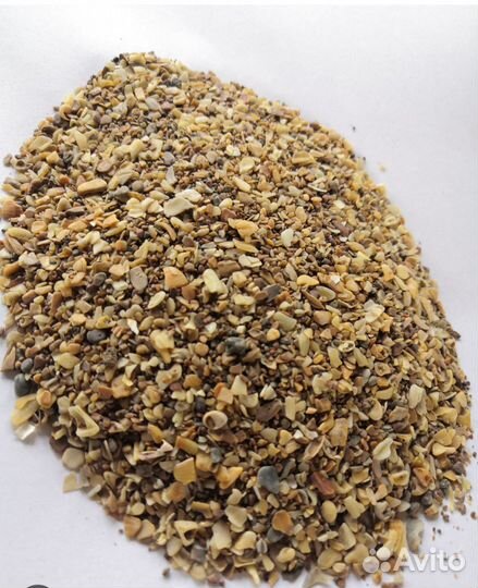 Ракушка кормовая для с/х птиц с.киясово, д.лутоха