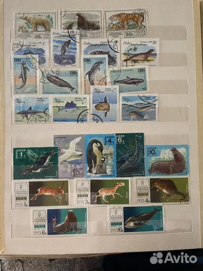 Почтовые марки морские обитатели