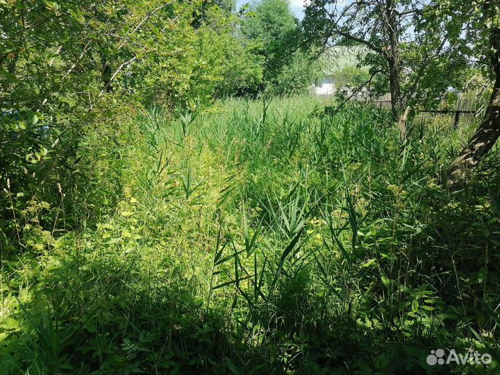 Покос Травы