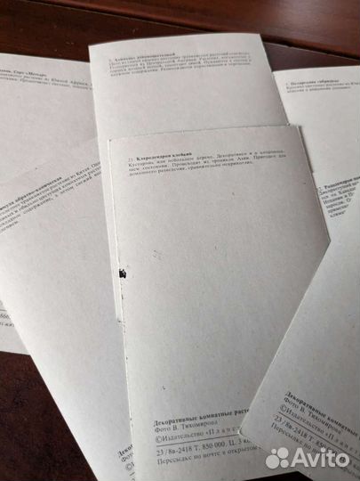 Открытки комнатные растения 30шт