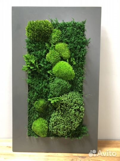 Картина интерьерная с растениями