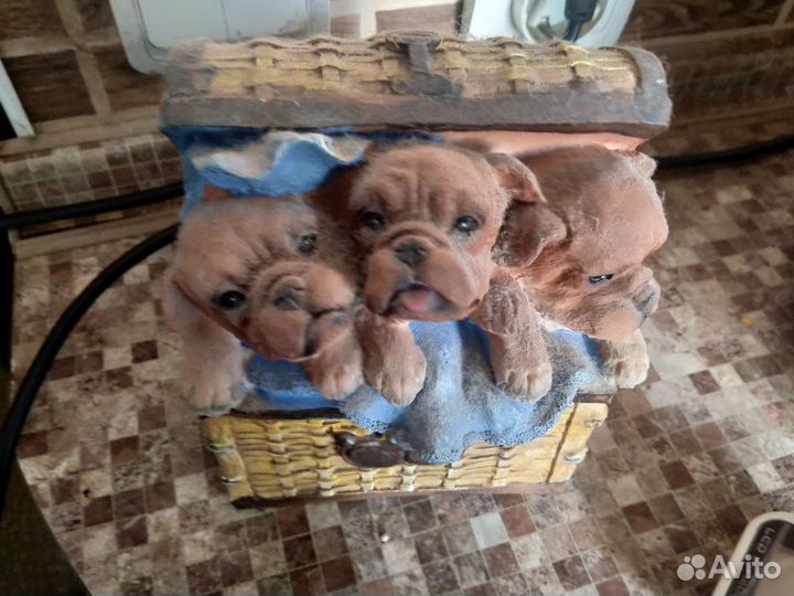 Кокер спаниель копилка