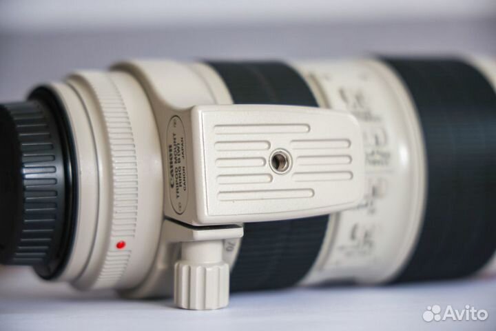 Canon EF 70-200mm f/2.8L IS II USM