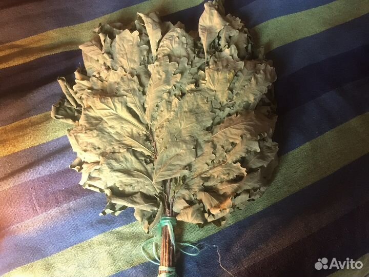 Дубовые веники для бани