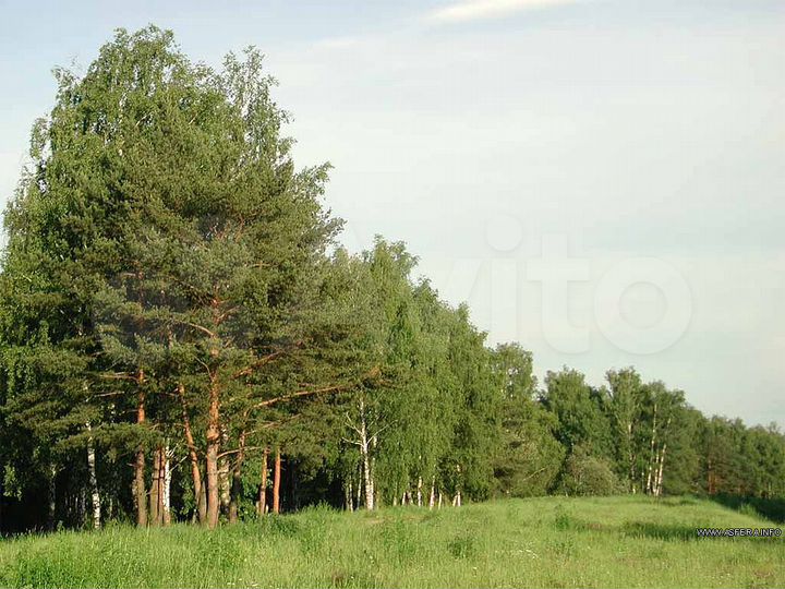 Участок 9 га (ИЖС)
