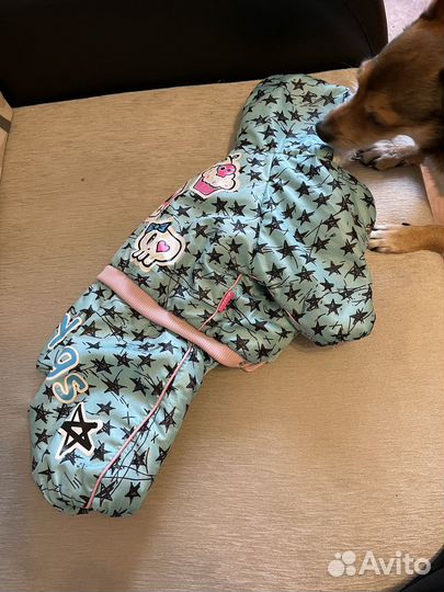 Комбинезон зимний, куртка и безрукавка для собаки