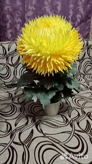 Ростовые цветы, цветы - торшеры, светильники, рост