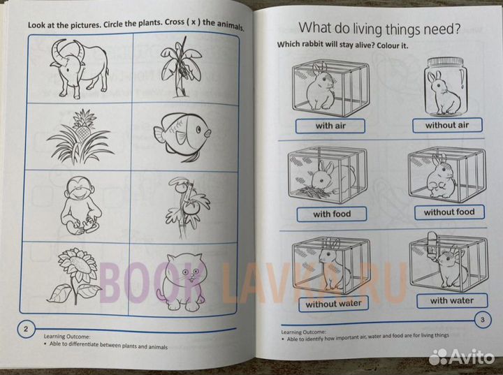 Книги на английском языке Rainbow science