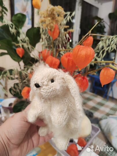 Кролик заяц