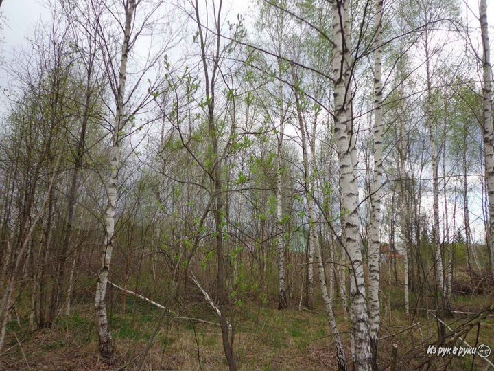 Участок 30 сот. (СНТ, ДНП)